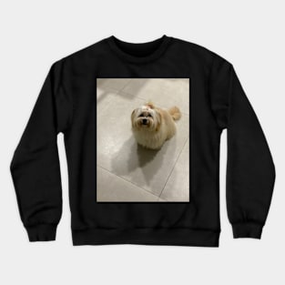 Jennifer Crewneck Sweatshirt